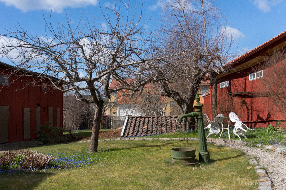 Idyllisk bakgård i Nora