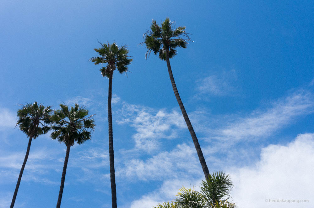 Abbot Kinney in Los Angeles