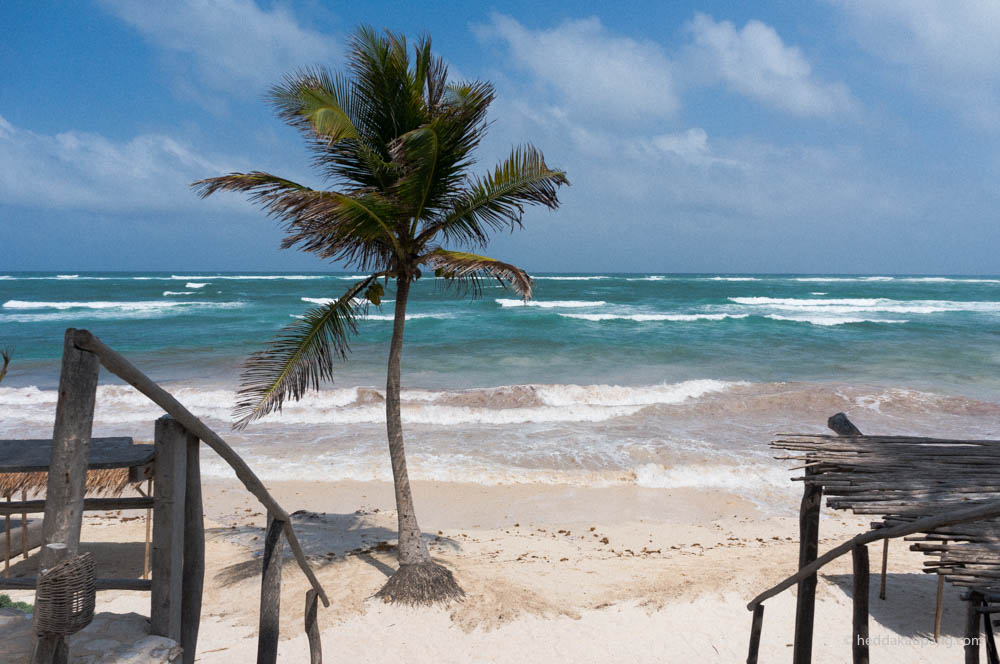 Papaya Playa Project in Tulum