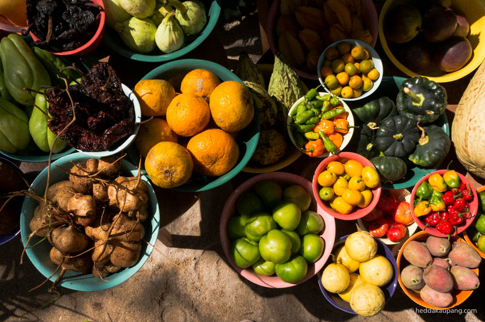 Fruits and vegetables of Noma Mexico