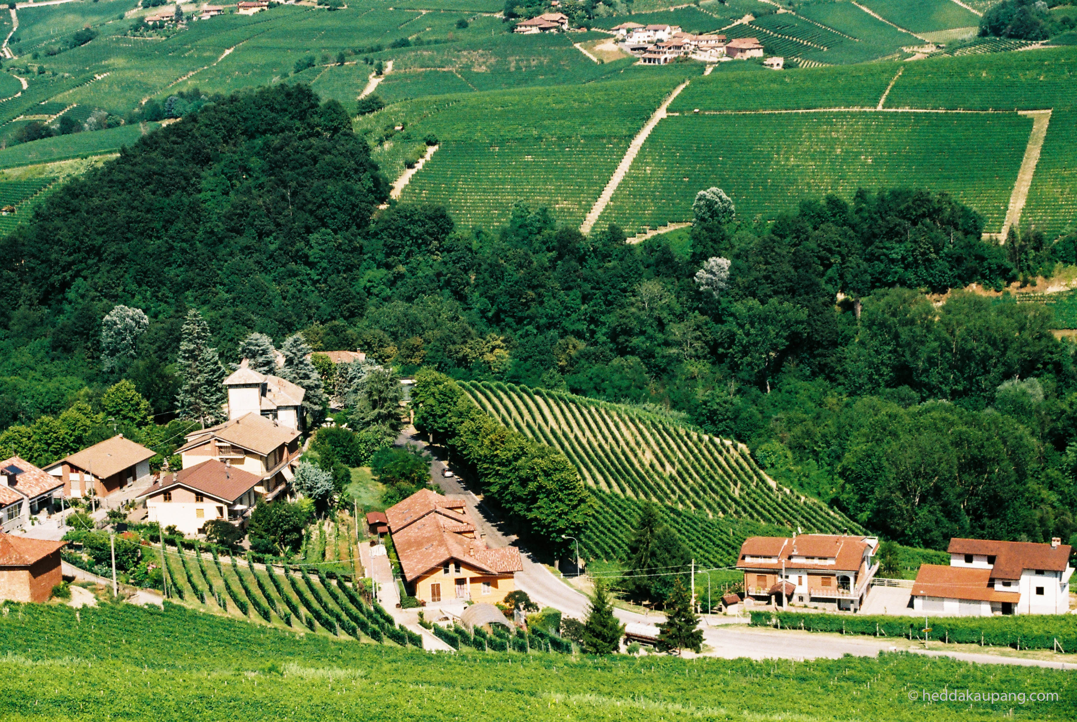 The Beautiful Barolo Region