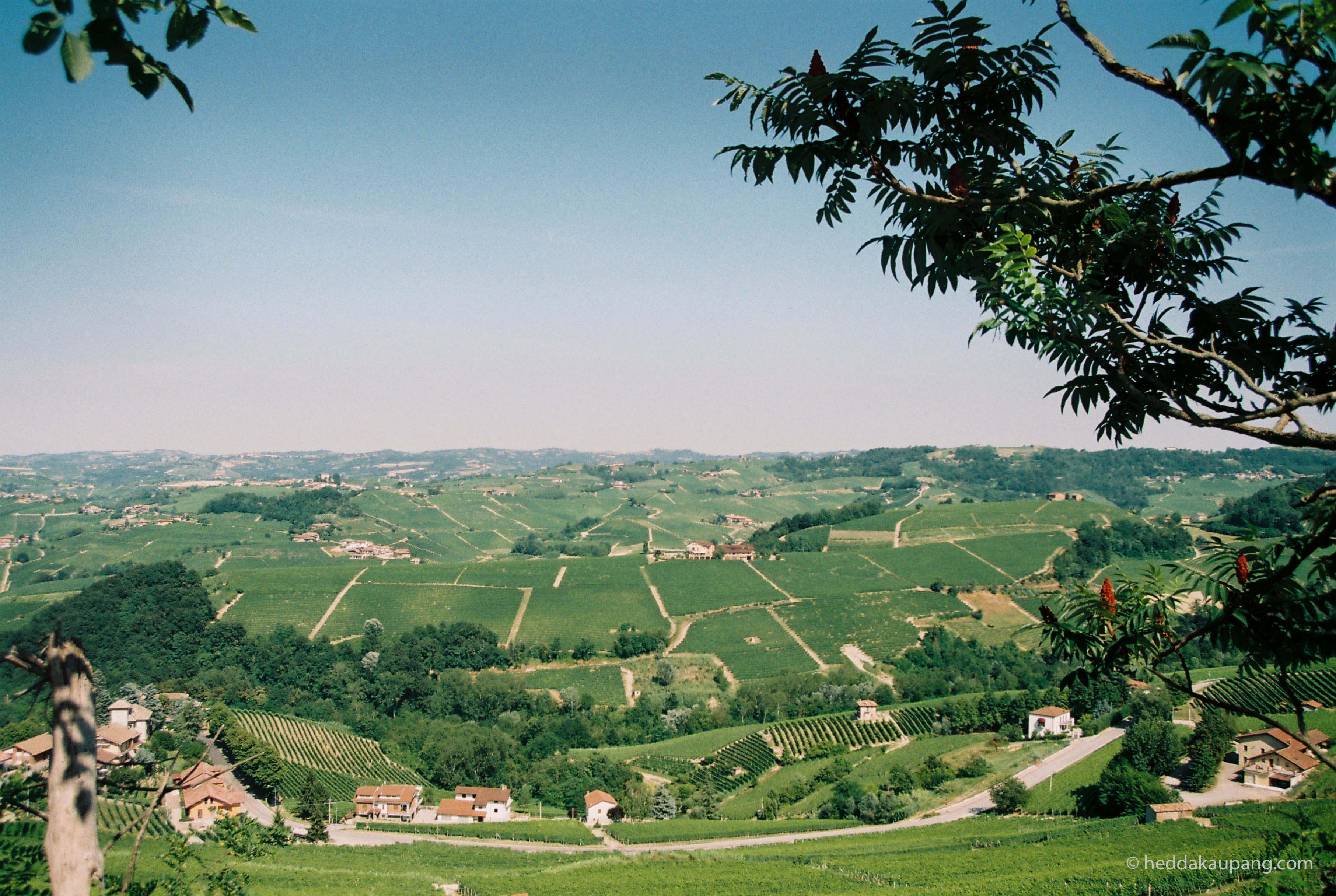 The Beautiful Barolo Region